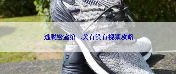  逃脱密室第二关有没有视频攻略