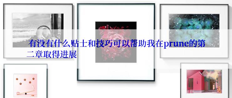 有没有什么贴士和技巧可以帮助我在prune的第二章取得进展