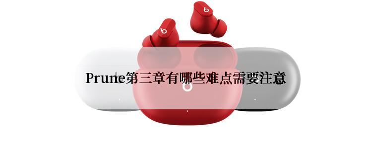 Prune第三章有哪些难点需要注意