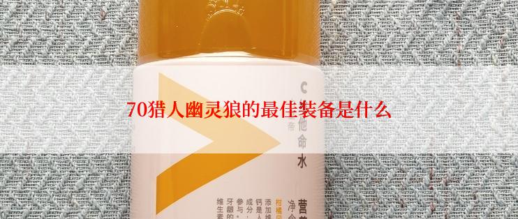 70猎人幽灵狼的最佳装备是什么