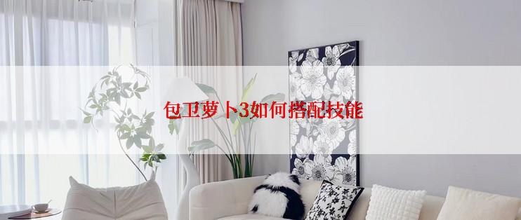  包卫萝卜3如何搭配技能