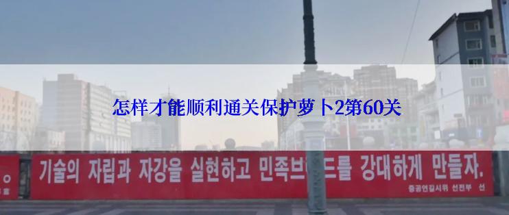  怎样才能顺利通关保护萝卜2第60关