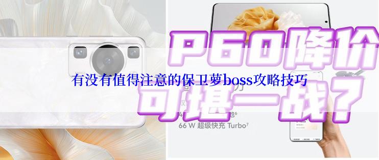 有没有值得注意的保卫萝boss攻略技巧
