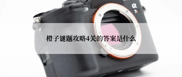 橙子谜题攻略4关的答案是什么