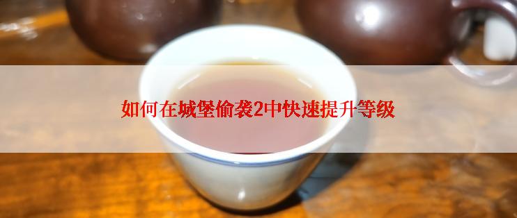 如何在城堡偷袭2中快速提升等级