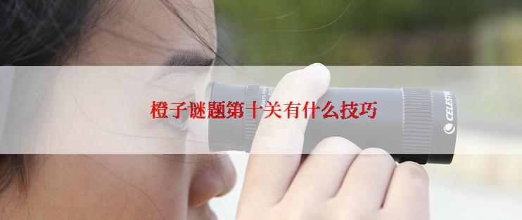  橙子谜题第十关有什么技巧