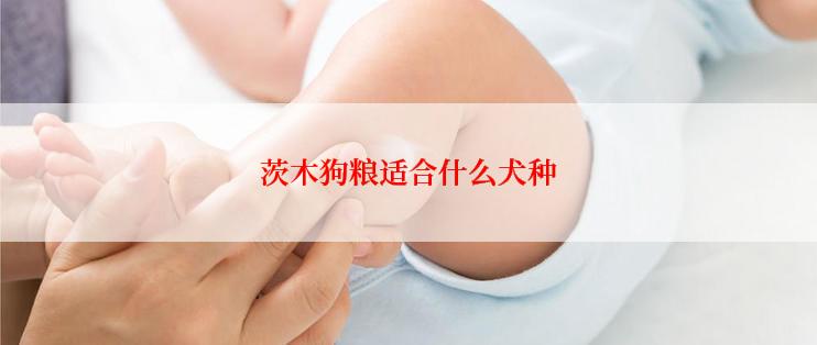 茨木狗粮适合什么犬种