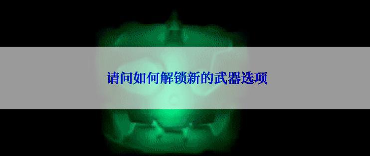 请问如何解锁新的武器选项