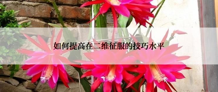 如何提高在二维征服的技巧水平