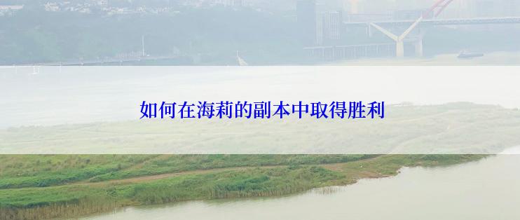  如何在海莉的副本中取得胜利