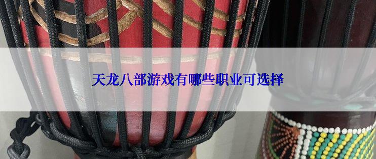 天龙八部游戏有哪些职业可选择
