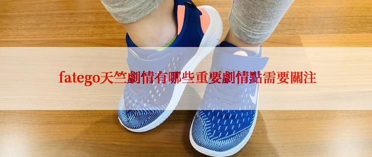  fatego天竺劇情有哪些重要劇情點需要關注