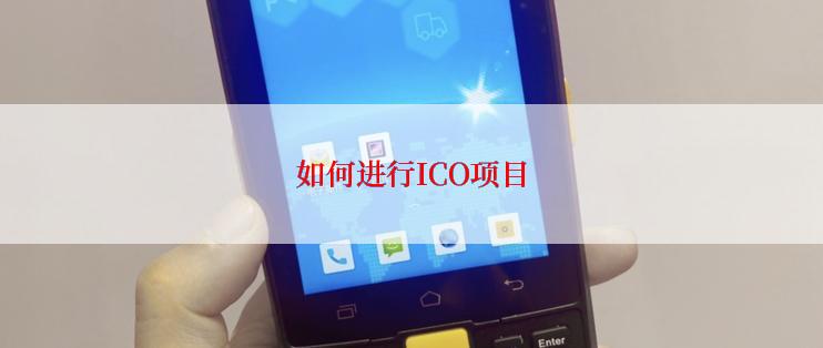 如何进行ICO项目