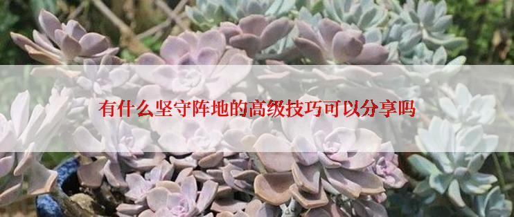 有什么坚守阵地的高级技巧可以分享吗