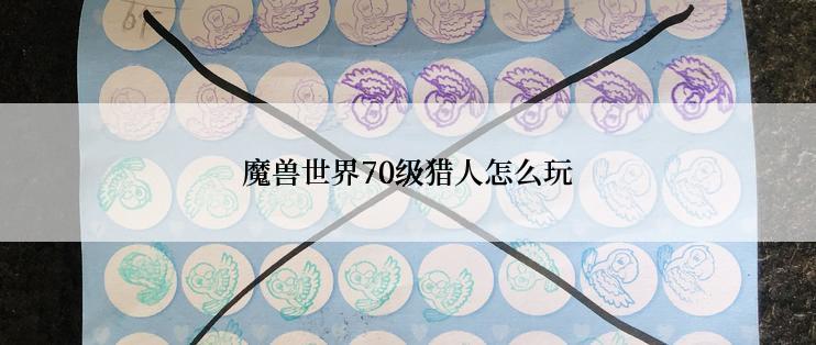 魔兽世界70级猎人怎么玩