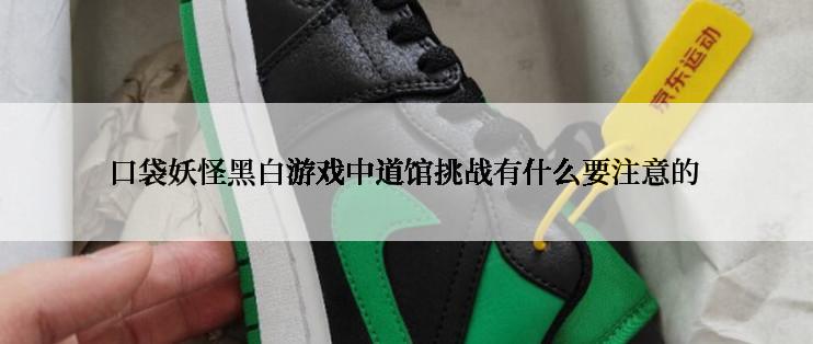 口袋妖怪黑白游戏中道馆挑战有什么要注意的