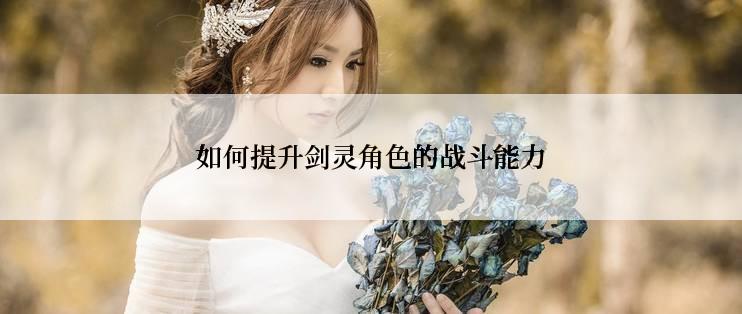 如何提升剑灵角色的战斗能力