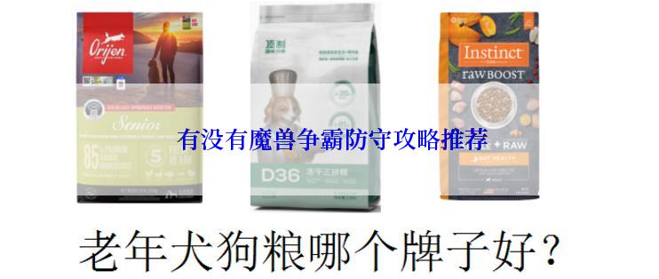  有没有魔兽争霸防守攻略推荐