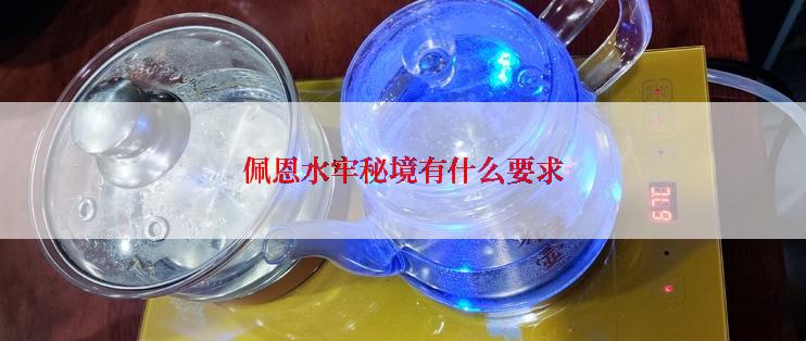 佩恩水牢秘境有什么要求