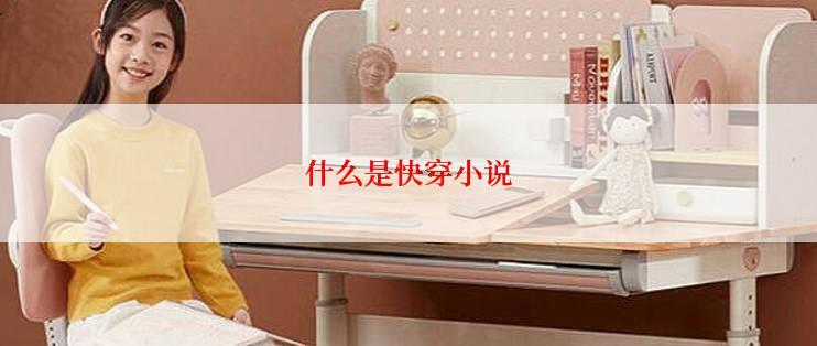 什么是快穿小说