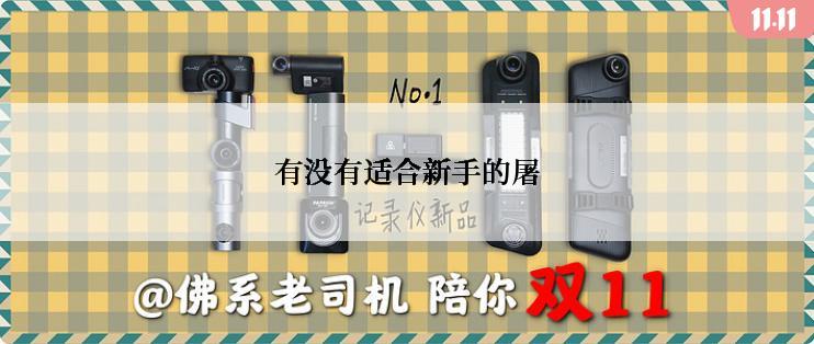 有没有适合新手的屠