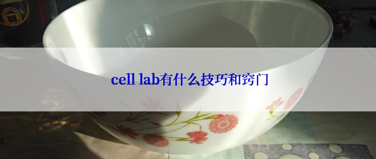  cell lab有什么技巧和窍门