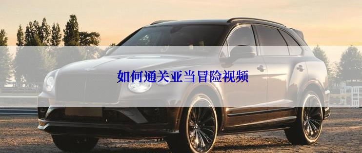  如何通关亚当冒险视频