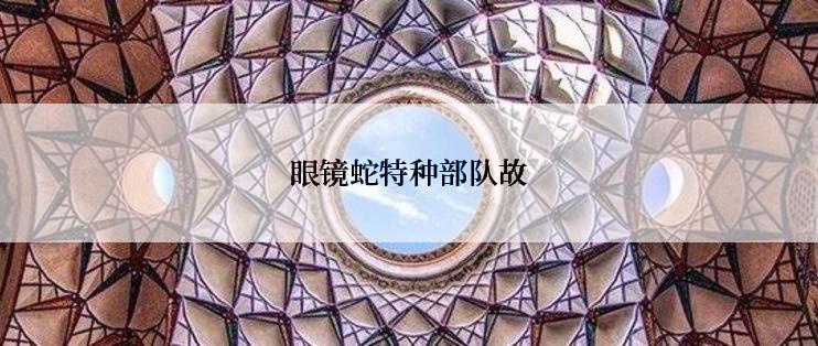 眼镜蛇特种部队故