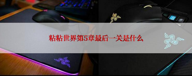 粘粘世界第5章最后一关是什么