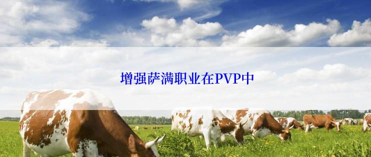 增强萨满职业在PVP中