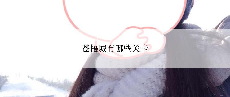 苍梧城有哪些关卡