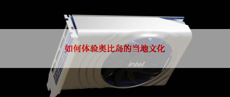 如何体验奥比岛的当地文化