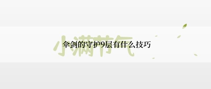  伞剑的守护9层有什么技巧