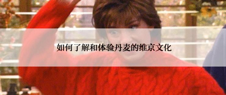  如何了解和体验丹麦的维京文化