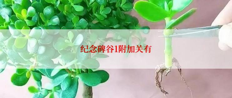 纪念碑谷1附加关有
