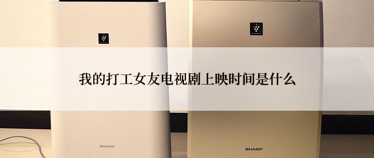 我的打工女友电视剧上映时间是什么