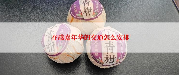  在感嘉年华的交通怎么安排