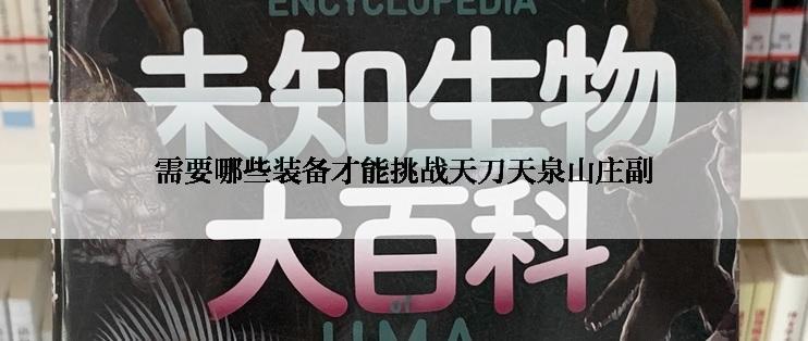 需要哪些装备才能挑战天刀天泉山庄副