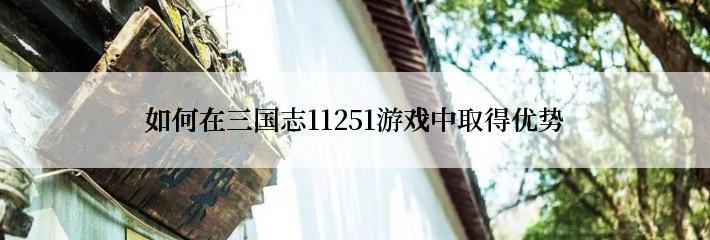 如何在三国志11251游戏中取得优势