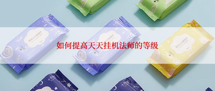 如何提高天天挂机法师的等级