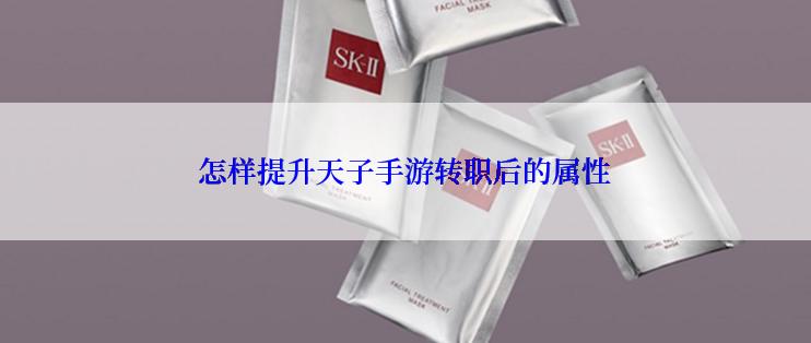 怎样提升天子手游转职后的属性