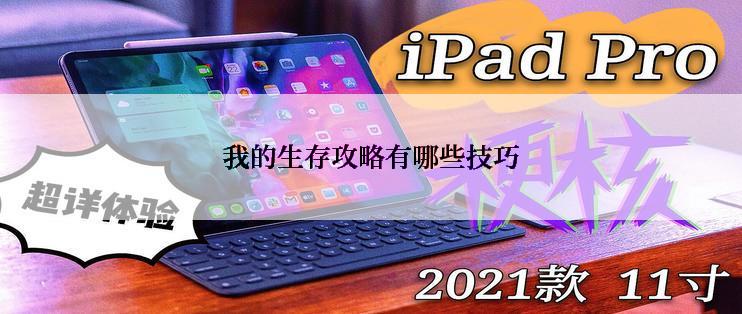 我的生存攻略有哪些技巧