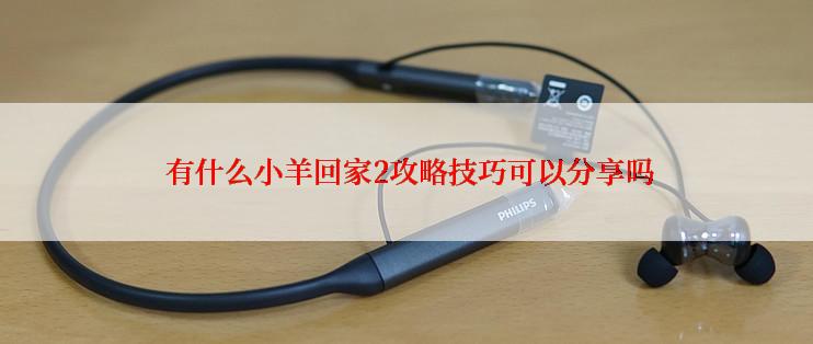  有什么小羊回家2攻略技巧可以分享吗