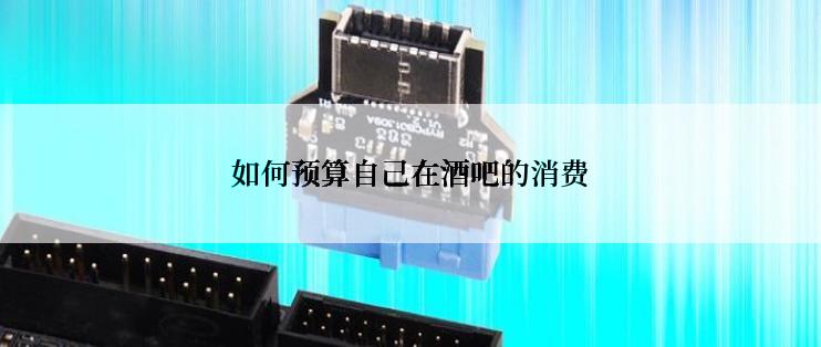 如何预算自己在酒吧的消费