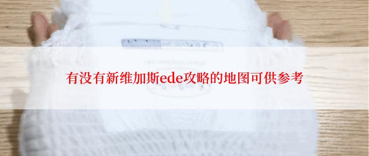 有没有新维加斯ede攻略的地图可供参考