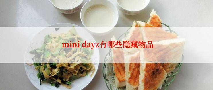  mini dayz有哪些隐藏物品