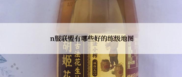  n服联盟有哪些好的练级地图