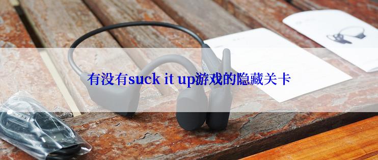 有没有suck it up游戏的隐藏关卡