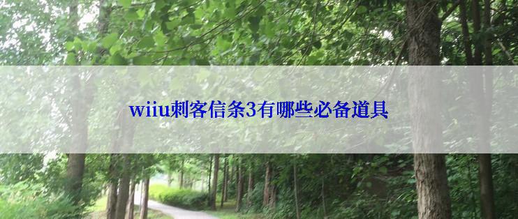 wiiu刺客信条3有哪些必备道具