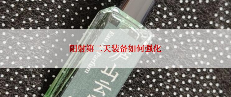 阳射第二天装备如何强化